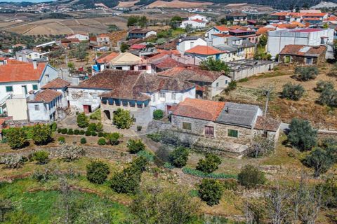 Farm i Noura e Palheiros, Vila Real, Noura e Palheiros - € 799.000 | Ref: 120781590-47 - foto 32