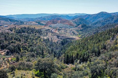 Farm i Noura e Palheiros, Vila Real, Noura e Palheiros - € 799.000 | Ref: 120781590-47 - foto 34