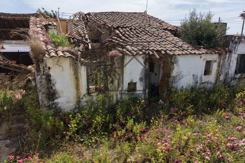 Bungalow i Azambuja, Lisbon, Azambuja - € 340.000 | Ref: CAS_191 - foto 9