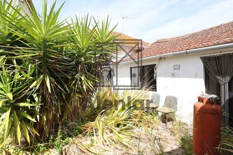 Bungalow i Azambuja, Lisbon, Azambuja - € 340.000 | Ref: CAS_191 - foto 18