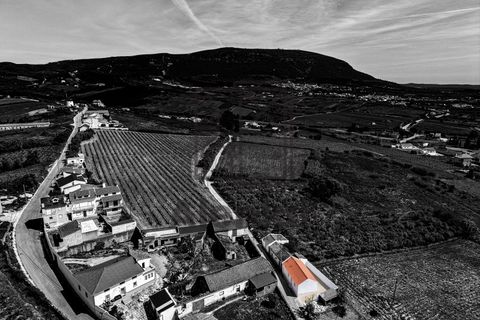 Villa i Alenquer, Lisbon, Alenquer - € 189.000 | Ref: HAB_183 - foto 17