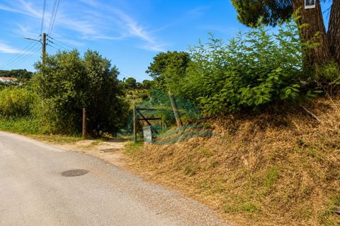 Farm i Azambuja, Lisbon, Azambuja - € 310.000 | Ref: MAS_21 - foto 1