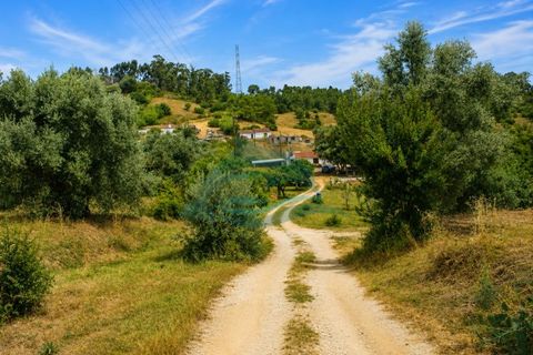 Farm i Azambuja, Lisbon, Azambuja - € 310.000 | Ref: MAS_21 - foto 2