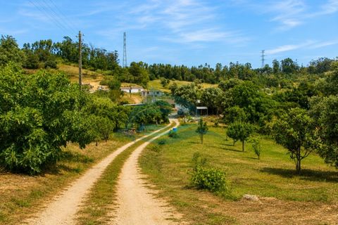 Farm i Azambuja, Lisbon, Azambuja - € 310.000 | Ref: MAS_21 - foto 4