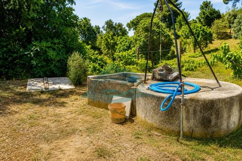 Farm i Azambuja, Lisbon, Azambuja - € 310.000 | Ref: MAS_21 - foto 6