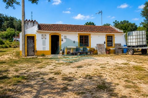 Farm i Azambuja, Lisbon, Azambuja - € 310.000 | Ref: MAS_21 - foto 7