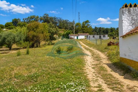 Farm i Azambuja, Lisbon, Azambuja - € 310.000 | Ref: MAS_21 - foto 17
