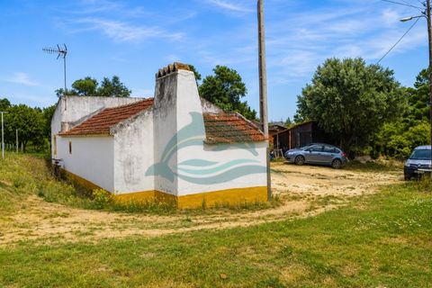 Farm i Azambuja, Lisbon, Azambuja - € 310.000 | Ref: MAS_21 - foto 18