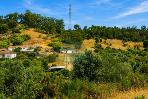 Farm i Azambuja, Lisbon, Azambuja - € 310.000 | Ref: MAS_21 - foto 19