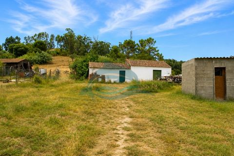 Farm i Azambuja, Lisbon, Azambuja - € 310.000 | Ref: MAS_21 - foto 20