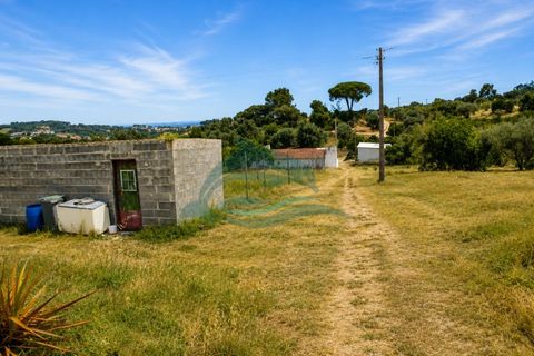 Farm i Azambuja, Lisbon, Azambuja - € 310.000 | Ref: MAS_21 - foto 21
