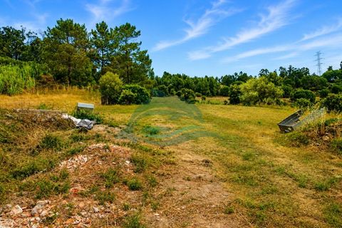 Farm i Azambuja, Lisbon, Azambuja - € 310.000 | Ref: MAS_21 - foto 22