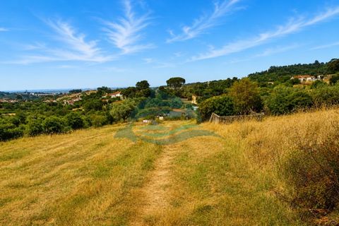Farm i Azambuja, Lisbon, Azambuja - € 310.000 | Ref: MAS_21 - foto 23