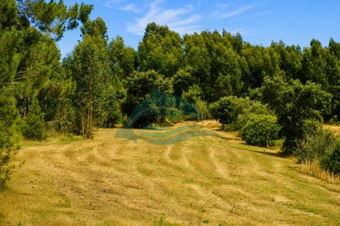 Farm i Azambuja, Lisbon, Azambuja - € 310.000 | Ref: MAS_21 - foto 24