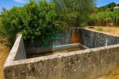 Farm i Azambuja, Lisbon, Azambuja - € 310.000 | Ref: MAS_21 - foto 25