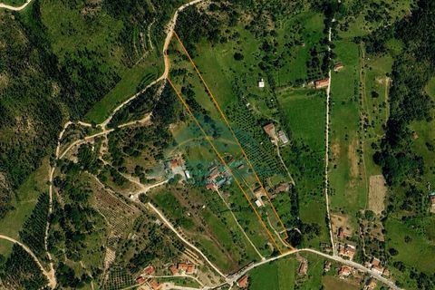 Farm i Azambuja, Lisbon, Azambuja - € 310.000 | Ref: MAS_21 - foto 26