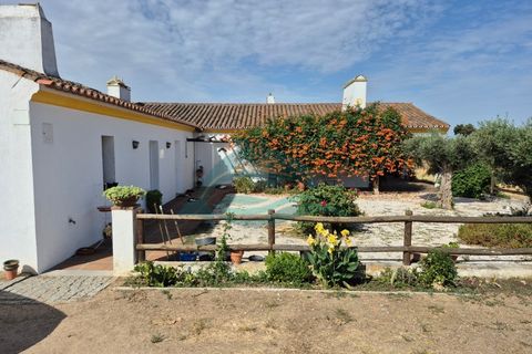 Farm hus i Redondo, Evora, Redondo - € 550.000 | Ref: FIN_13 - foto 12