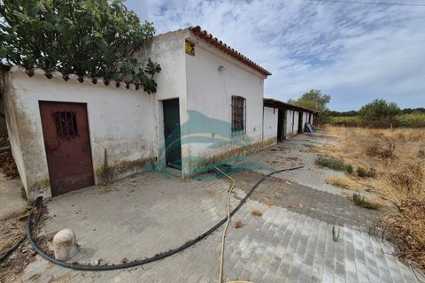Farm hus i Redondo, Evora, Redondo - € 550.000 | Ref: FIN_13 - foto 34