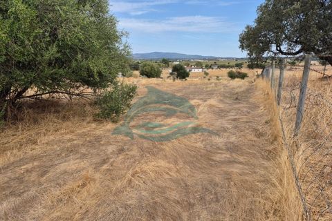 Farm hus i Redondo, Evora, Redondo - € 550.000 | Ref: FIN_13 - foto 38