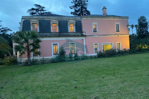 Villa i Elvas, Portalegre, Elvas - € 8.500.000 | Ref: PAL_4 - foto 3