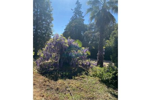 Villa i Elvas, Portalegre, Elvas - € 8.500.000 | Ref: PAL_4 - foto 34