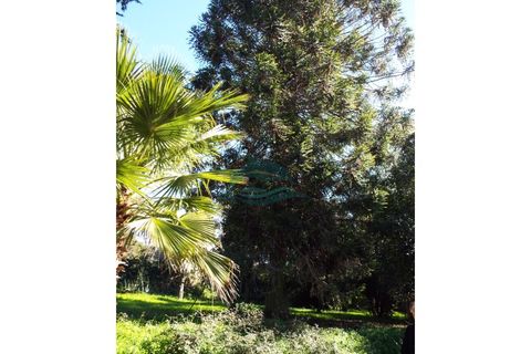 Villa i Elvas, Portalegre, Elvas - € 8.500.000 | Ref: PAL_4 - foto 37