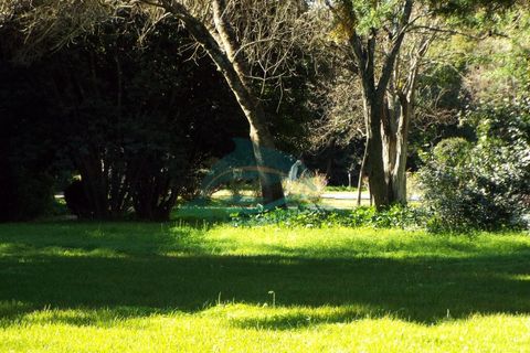 Villa i Elvas, Portalegre, Elvas - € 8.500.000 | Ref: PAL_4 - foto 44