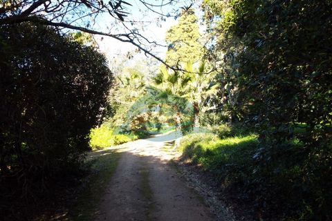 Villa i Elvas, Portalegre, Elvas - € 8.500.000 | Ref: PAL_4 - foto 45