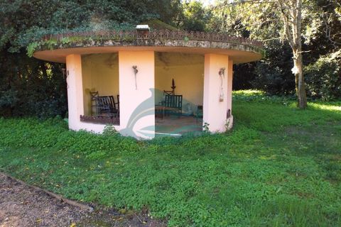 Villa i Elvas, Portalegre, Elvas - € 8.500.000 | Ref: PAL_4 - foto 49