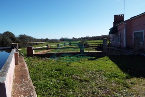 Villa i Elvas, Portalegre, Elvas - € 8.500.000 | Ref: PAL_4 - foto 50