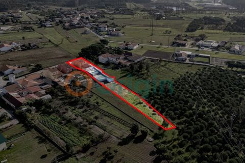 Villa a Pombal, Leiria, Pombal - € 530.000 | Ref: CAS_6458 (2) - foto 38