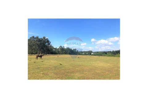 Helårsgrund i Trofa, Porto, Trofa - € 945.000 | Ref: 120781150-92 - foto 5