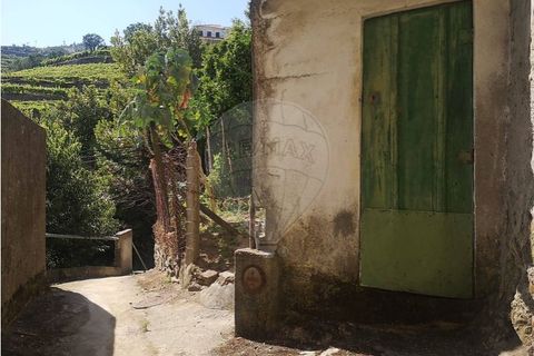 Villa i Loureiro, Vila Real, Loureiro - € 29.900 | Ref: 120781426-2 - foto 10