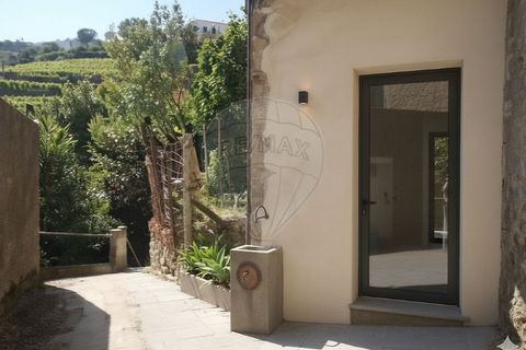 Villa i Loureiro, Vila Real, Loureiro - € 29.900 | Ref: 120781426-2 - foto 11