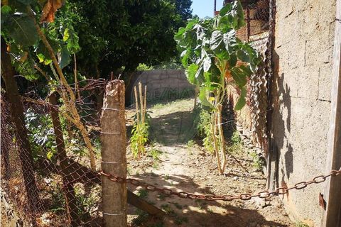 Villa i Loureiro, Vila Real, Loureiro - € 29.900 | Ref: 120781426-2 - foto 14