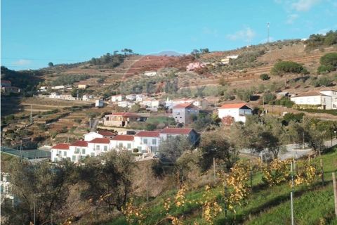 Farm i Alvacoes do corgo, Vila Real, Alvacoes do corgo - € 1.500.000 | Ref: 120781532-3 - foto 2
