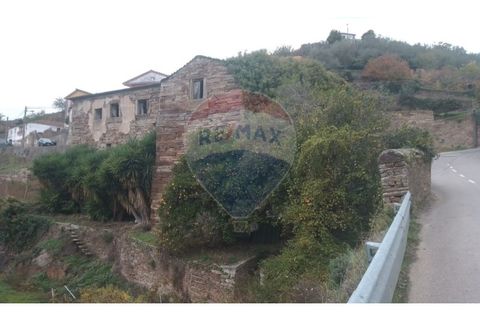 Farm i Alvacoes do corgo, Vila Real, Alvacoes do corgo - € 1.500.000 | Ref: 120781532-3 - foto 3