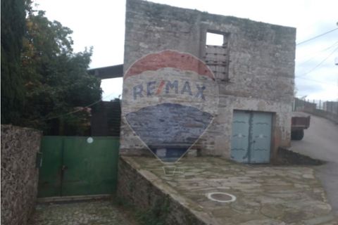 Farm i Alvacoes do corgo, Vila Real, Alvacoes do corgo - € 1.500.000 | Ref: 120781532-3 - foto 4