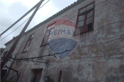 Farm i Alvacoes do corgo, Vila Real, Alvacoes do corgo - € 1.500.000 | Ref: 120781532-3 - foto 6