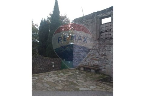 Farm i Alvacoes do corgo, Vila Real, Alvacoes do corgo - € 1.500.000 | Ref: 120781532-3 - foto 7
