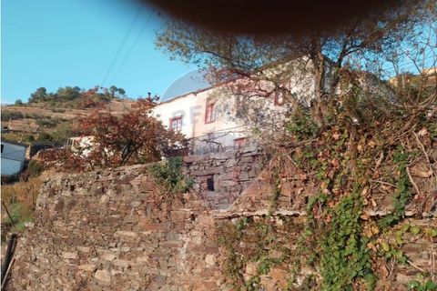 Farm i Alvacoes do corgo, Vila Real, Alvacoes do corgo - € 1.500.000 | Ref: 120781532-3 - foto 9