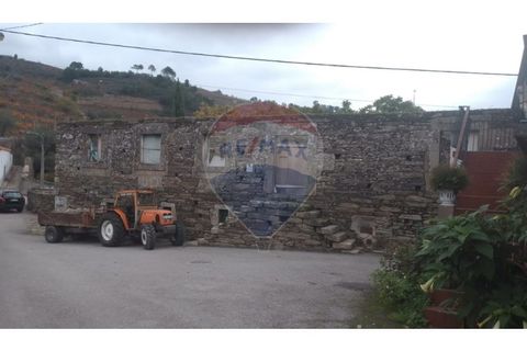 Farm i Alvacoes do corgo, Vila Real, Alvacoes do corgo - € 1.500.000 | Ref: 120781532-3 - foto 10