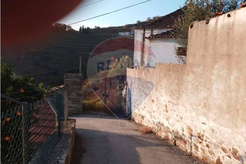Farm i Alvacoes do corgo, Vila Real, Alvacoes do corgo - € 1.500.000 | Ref: 120781532-3 - foto 11
