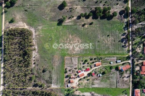 Terreno en Coruche, Santarem, Coruche - € 385.000 | Ref: OR90961EW - photo 1