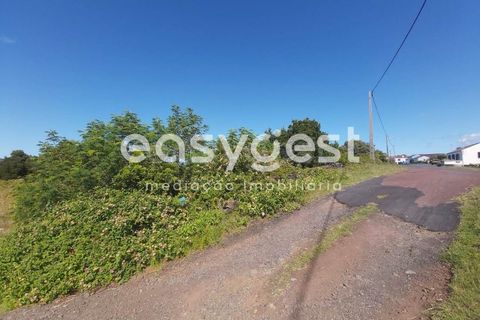 Terra a Bandeiras, Pico, Bandeiras - € 199.000 | Ref: AZ85693FR - foto 2