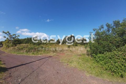 Terra a Bandeiras, Pico, Bandeiras - € 199.000 | Ref: AZ85693FR - foto 3