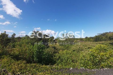 Terra a Bandeiras, Pico, Bandeiras - € 199.000 | Ref: AZ85693FR - foto 4