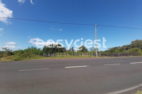 Terra a Bandeiras, Pico, Bandeiras - € 199.000 | Ref: AZ85693FR - foto 5