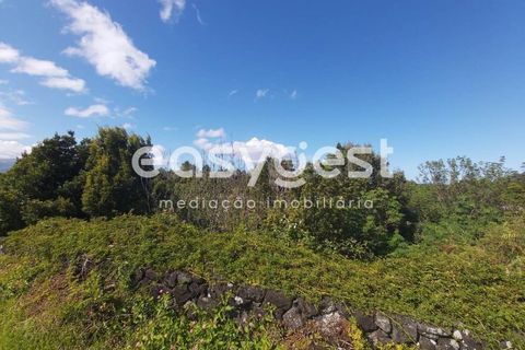 Terra a Bandeiras, Pico, Bandeiras - € 199.000 | Ref: AZ85693FR - foto 6