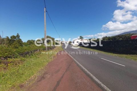 Terra a Bandeiras, Pico, Bandeiras - € 199.000 | Ref: AZ85693FR - foto 8